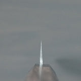 Isshin Hammered 45 Layers Damascus AUS10 Wa Sujihiki Knife 240mm