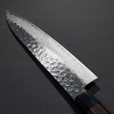 Isshin Hammered 45 Layers Damascus AUS10 Wa Gyuto Chef Knife 210mm