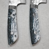 Saji Takeshi SRS13 Hammered Damascus Santoku Knife 180mm Acryl Zebra