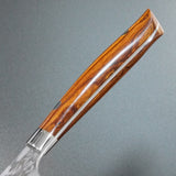 Saji Takeshi SRS13 Hammered Damascus Sujihiki 270mm Ironwood
