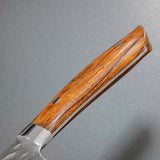 Saji Takeshi SRS13 Hammered Damascus Kiritsuke Gyuto 240mm Ironwood