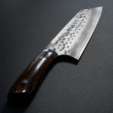 Saji Takeshi SRS13 Hammered Damascus Bunka Knife 180mm Ironwood