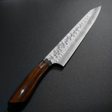 Saji Takeshi SRS13 Hammered Damascus Sujihiki 270mm Ironwood
