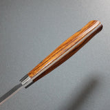 Saji Takeshi SRS13 Hammered Damascus Kiritsuke Gyuto 240mm Ironwood