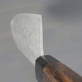 Saji Takeshi SG2 Black Damascus Santoku Knife 180mm Rosewood