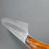 Saji Takeshi SRS13 Hammered Damascus Sujihiki 270mm Ironwood