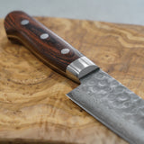 Isshin Hammered 17 Layers Damascus VG10 Sujihiki Knife 240mm