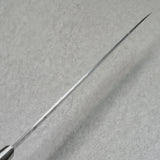 Isshin Hammered 17 Layers Damascus VG10 Sujihiki Knife 240mm