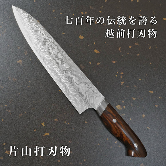 Yuta Katayama Super Gold 2 Damascus Gyuto Chef Knife 240mm Ironwood Reimei