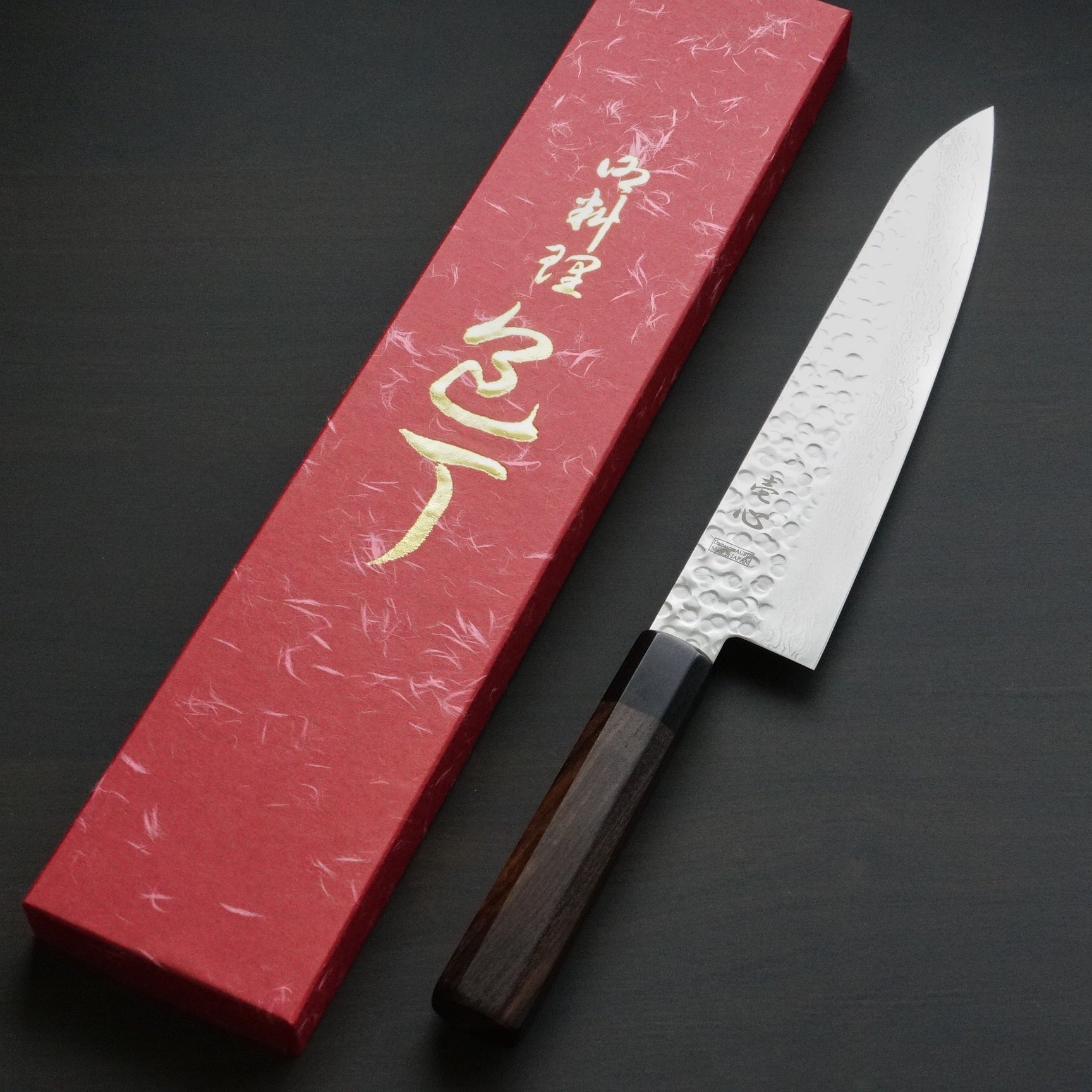 Isshin Hammered Damascus VG10 Wa Gyuto Chef Knife 240mm – Bay
