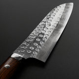 Saji Takeshi SRS13 Hammered Damascus Santoku Knife 180mm Ironwood