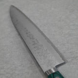 Masutani VG10 Damascus Gyuto Chef Knife Sairyu Green