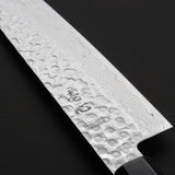 Isshin Hammered 45 Layers Damascus AUS10 Wa Gyuto Chef Knife 240mm