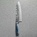 Saji Takeshi SRS13 Hammered Damascus Santoku Knife 180mm Acryl BG