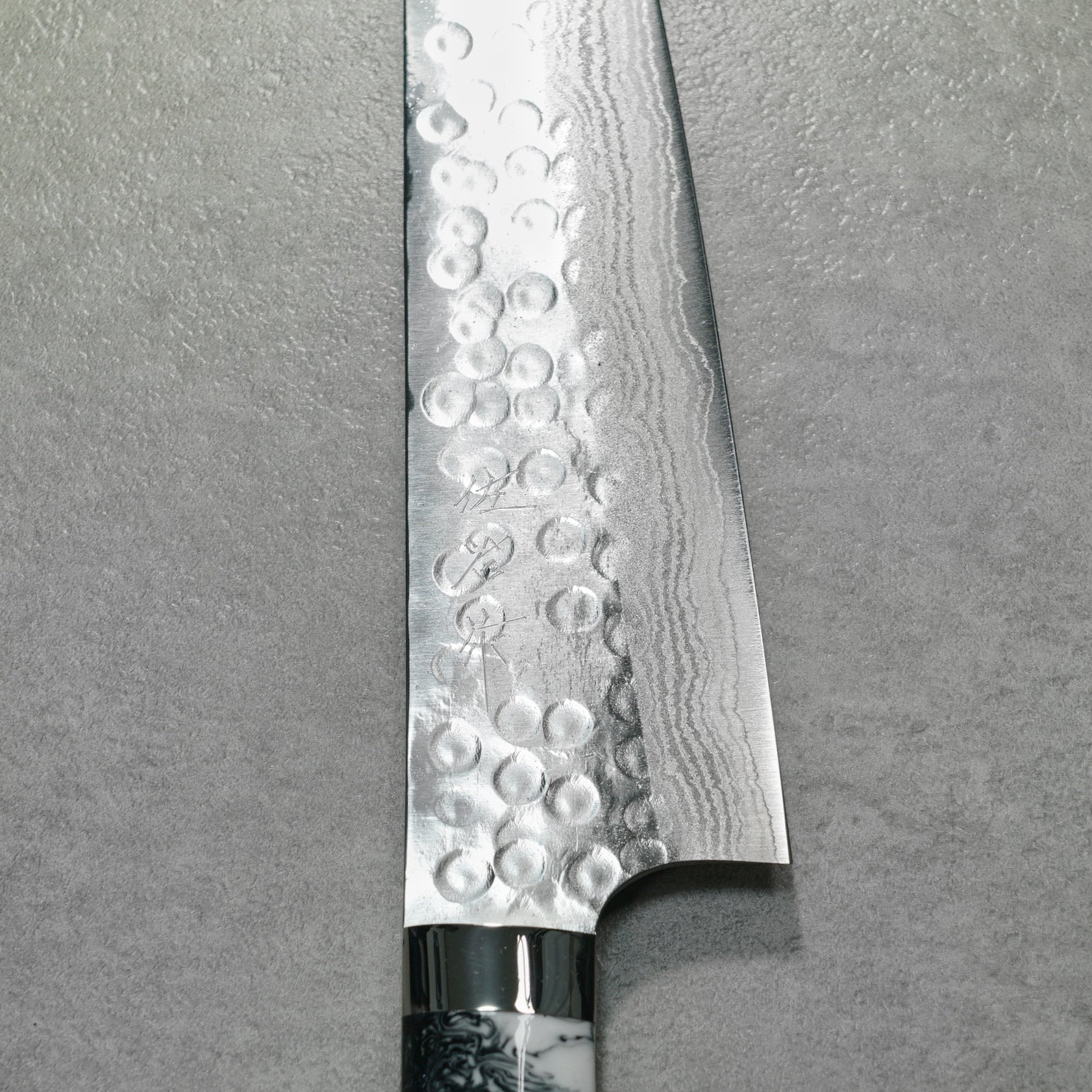 Saji Takeshi SRS13 Hammered Damascus Kiritsuke Gyuto 210mm Acryl