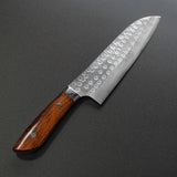 Saji Takeshi SRS13 Hammered Damascus Santoku Knife 180mm Ironwood