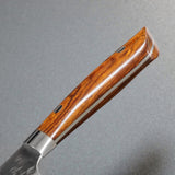 Saji Takeshi SRS13 Hammered Damascus Bunka Knife 180mm Ironwood