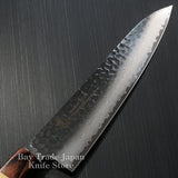 Sakai Takayuki Hammered 33 Layers Damascus VG10 Wa Gyuto Chef Knife 210mm