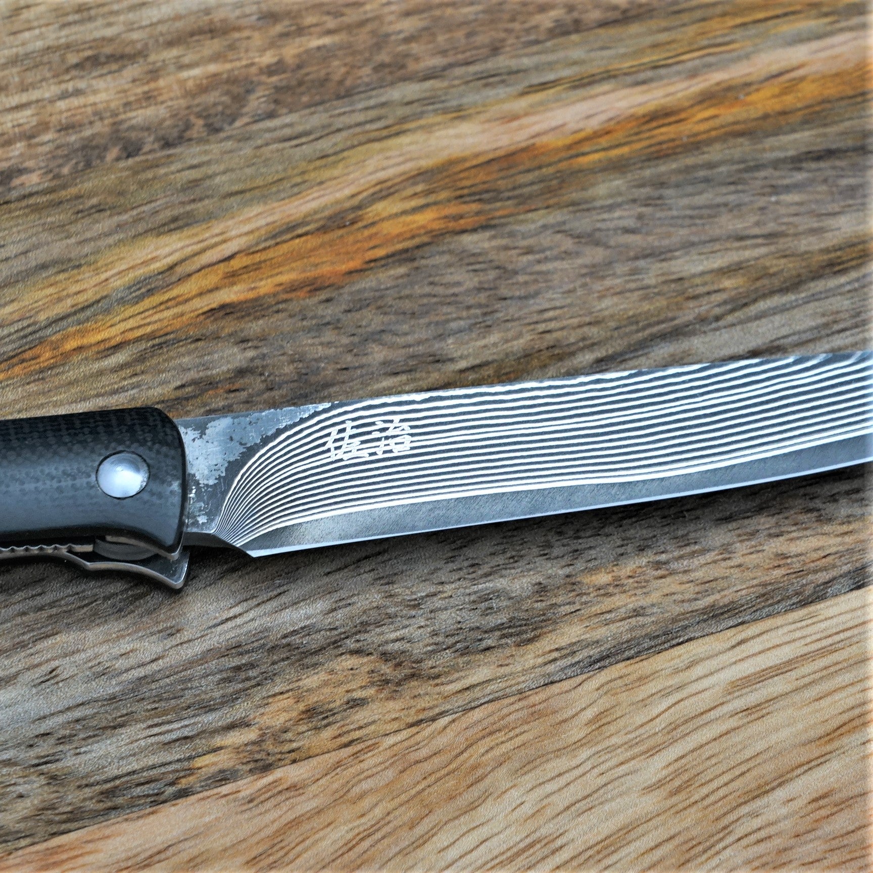 Takeshi Saji R2/SG2 Diamond Damascus 125mm Steak Knife with Ironwood H –  Burrfection Store