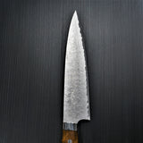 Saji Takeshi SG2 Super Gold 2 Damascus Matte Finish Gyuto Chef's Knife 210mm Ironwood