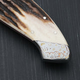 Kajin ZDP189 Damascus Stag Horn Custom Gyuto 210mm