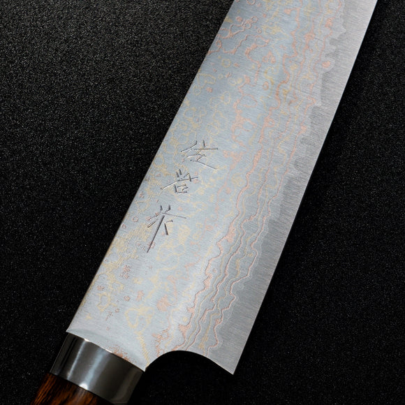 Saji Takeshi VG10 Colored Damascus Gyuto Chef Knife 210mm Ironwood